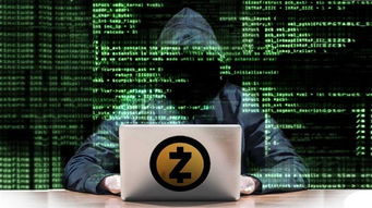  zcash币教程,在红袖添香里又没有免费得红袖币的方法？ 元宇宙