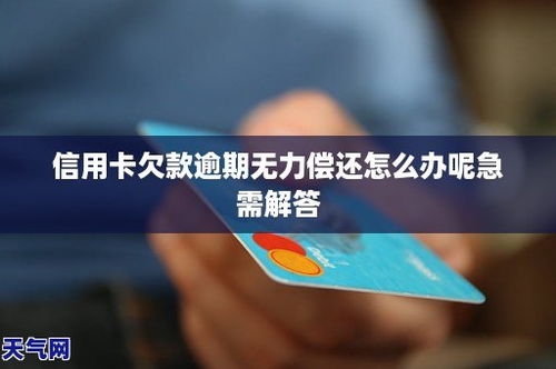 信用卡逾期了无力偿还怎么办,信用卡逾期了无力偿还怎么办？应对策略全解析