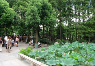 上海 人民公园,上海人民公园的历史