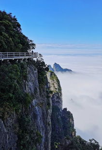 郴州莽山五指峰景区停车场收费吗(郴州站停车场这几天是不是免费)