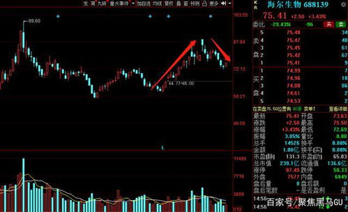 上市公发减持公告又不减持为什么