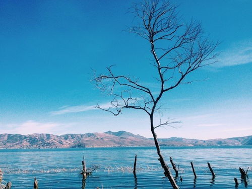 七八月暑假去云南旅游安全吗 雨季到云南旅游危险吗