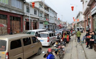 骡马市免费停车场,沈阳最大的集市在哪里