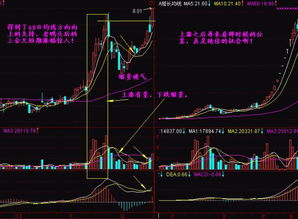 股票“中央交易系统”是做什么的？大都支持什么业务和操作，尽量从系统角度说明，谢谢~