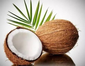 椰子含糖量高吗,生产椰子汁的糖度多少？