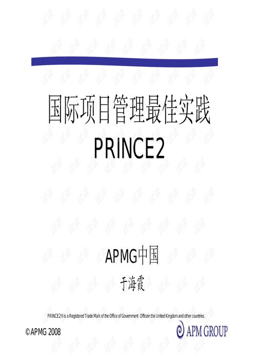 中国prince2,中国PRICE2的特征