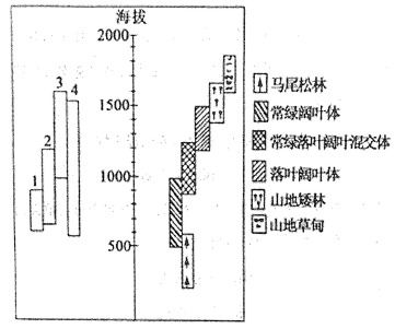 查重技术原理：叠加与独立检测的区别