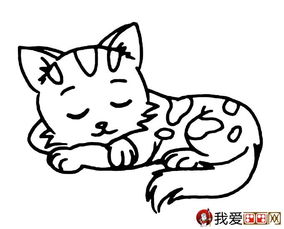 猫的简笔画大全 可爱动物简笔画猫图片16副 7