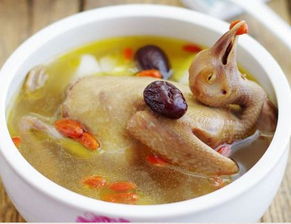 孕妇鸽子汤的做法 适合孕妇鸽子汤的做法大全