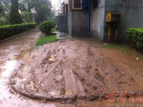 农村到处铺上了水泥路，为什么一到下雨天还是到处泥？