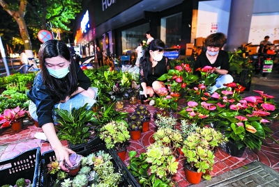 绿植盆栽好摆夜市地摊,地摊卖绿植怎么样