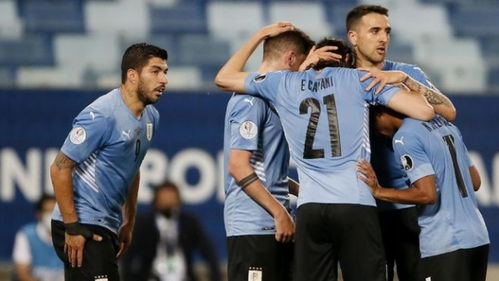 2022乌拉圭阵容太豪华,第一届世界杯冠军乌拉圭队的阵容是怎样的？