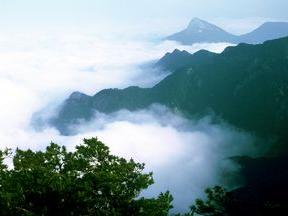 英山县桃花冲风景区