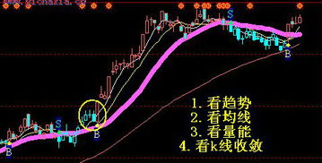 帮忙编辑一个20日线上突破5日线选股