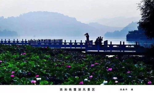 大美西和,风景独好