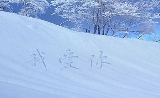 怎么用PS在雪上写字 