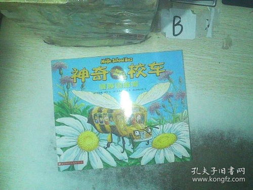 奇妙的蜂巢读后感