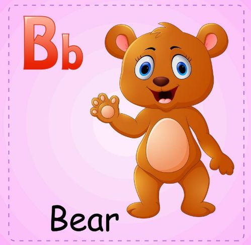 熊的英语怎么读 