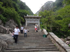 好久没上论坛了,上一组泰山之行,不能算摄影作品只能算旅行记录