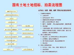 如何拍卖土地，需要什么流程手续的