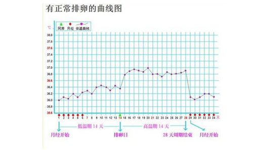 基础体温怎么测最准确