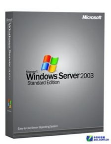 windows2003企业版下载,独家解析Widows2003企业版下载全攻略，告别繁琐，轻松安装！