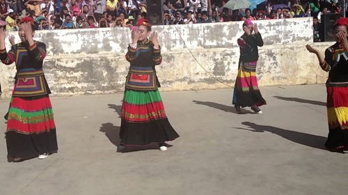 火把节舞蹈视频简单,圣火舞蹈视频简略:庆祝传统文化的精彩展示