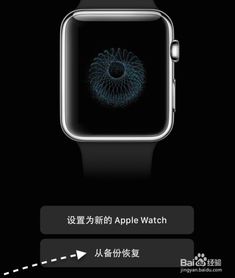 苹果手表 Apple Watch 怎么重新配对