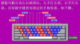 八哥五笔打字员 八哥五笔打字员下载 v2015.2 官方版 起点软件园 