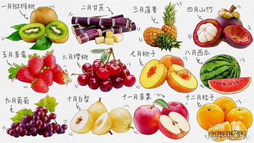 冬季水果应季 十二个月水果季节表图