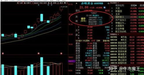 四川黄金在10月20日贵金属龙头股中上涨2.21%