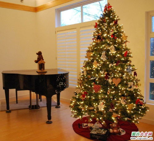 怎么装饰圣诞树又好看又漂亮,怎么样装饰圣诞树