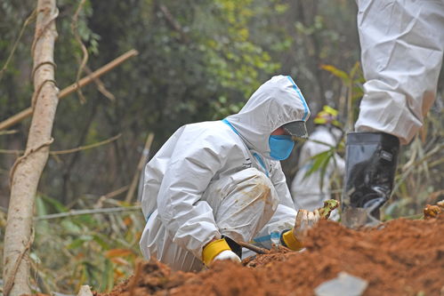 直击东航客机坠毁现场第六日 事故核心区展开拉网式搜索