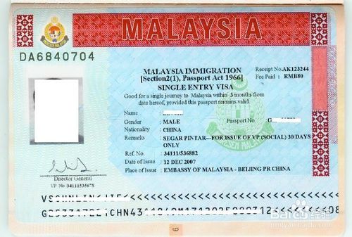 马来西亚旅游签证怎么申请,马来西亚旅游签证申请全