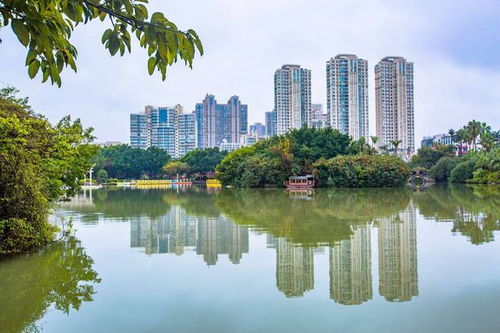 深圳东湖公园好玩吗,深度解析深圳东湖公园：都市中的自然乐园，不容错过的休闲胜地！