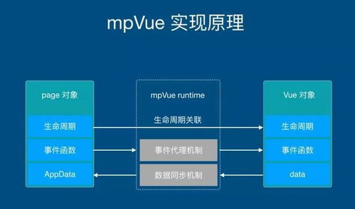 vue前端框架开发者,Vue前端框架助力开发者构建高效能网络应用