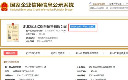 怎样看出自己所在的公司是不是皮包公司？