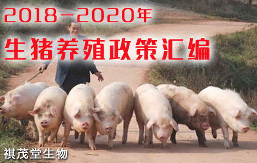 2018 2020生猪养殖政策汇编手册,看近几年养猪业都有哪些利好政策