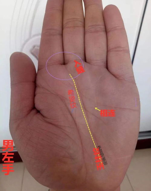 富贵手相的6种奇纹