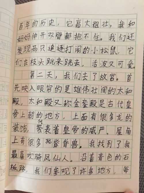 小朋友的游记 寒假作文 