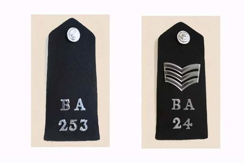 一级警员肩章,肩章的设计和含义。