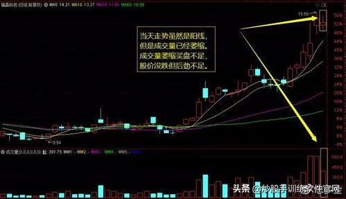 （紧急）不以成交为目的，利用虚假申报手段，造成买盘众多的假象。谁能解释一下？谢谢您！