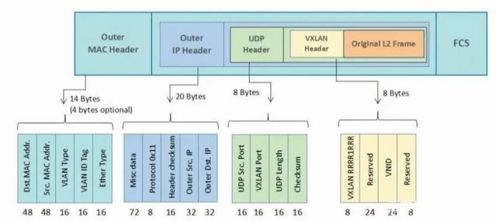 超赞 VXLAN VLAN QinQ的区别,报文清晰,看一遍就懂