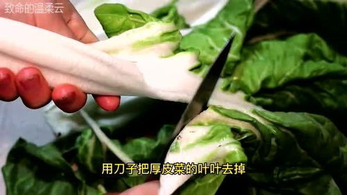 厚皮菜的功效与作用及食用方法,功