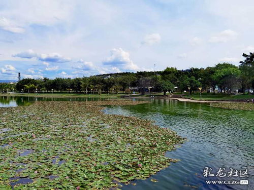 湖泉生态园附近有免费的停车场吗,去弥勒湖泉生态园自助游,应该怎么做计划?