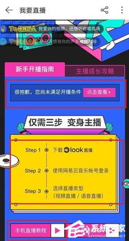 网易云音乐如何开通直播功能 网易云音乐开通直播功能的操作步骤 