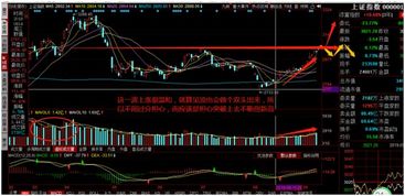 板块轮动的一天行情个股，底部当日巨量涨停，第二日下跌，今后庄家怎么办啊?会不会不管了？