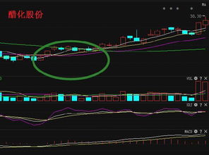 股票出现黄金坑后续上涨概率大吗