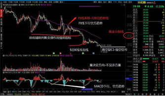 贵州茅台的股票技术分析？丽珠集团的股票分析