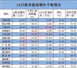 给推荐几支小市值股票